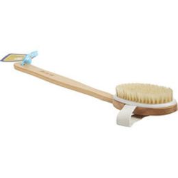 Spa Accessories By Spa Accessories Spa Sister Beechwood Spa Bath Brush For Anyone
